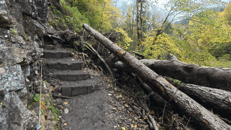 #0001 | Reisetagebuch | 01.03.2026 | Start im Schwarzwald – Wieder Probleme und leere Tankstelle